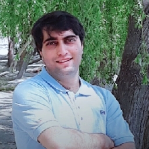 Amir Heydari